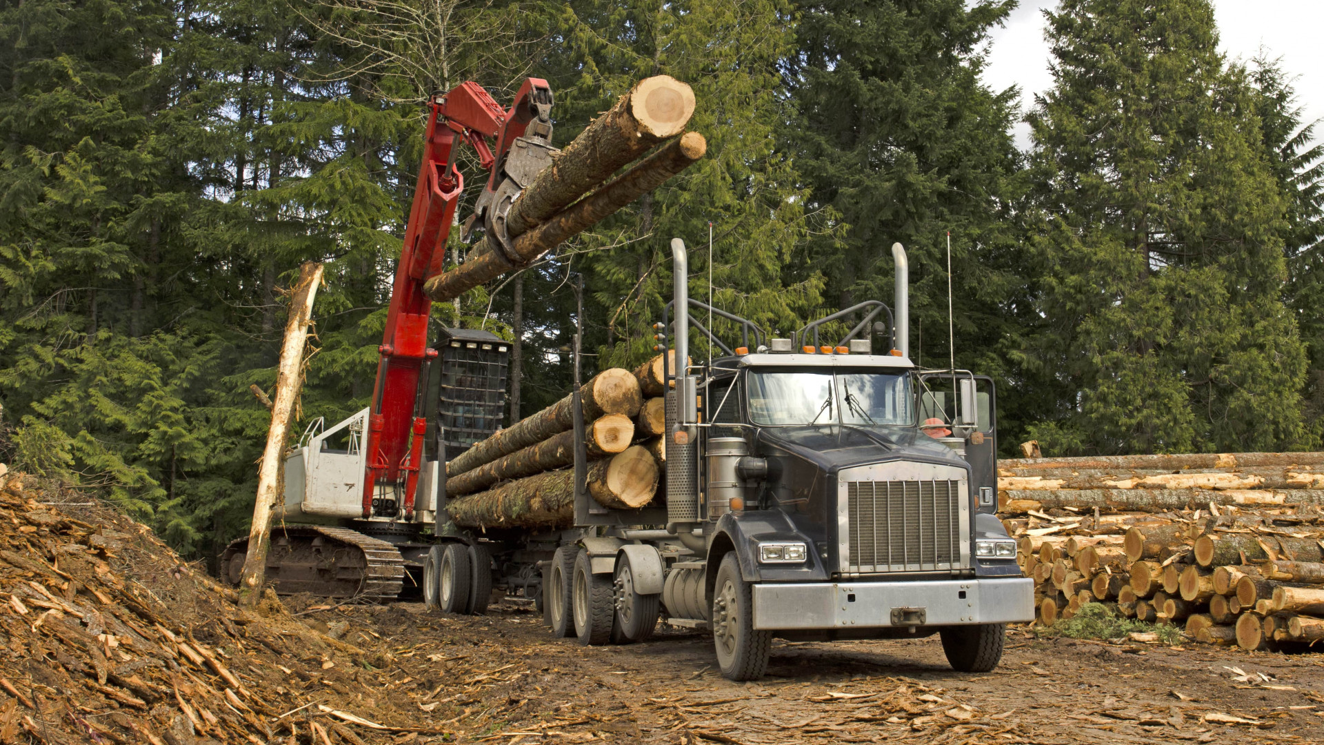 An offer of adapted services for mining and forestry equipment